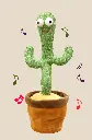 CACTUS.webp