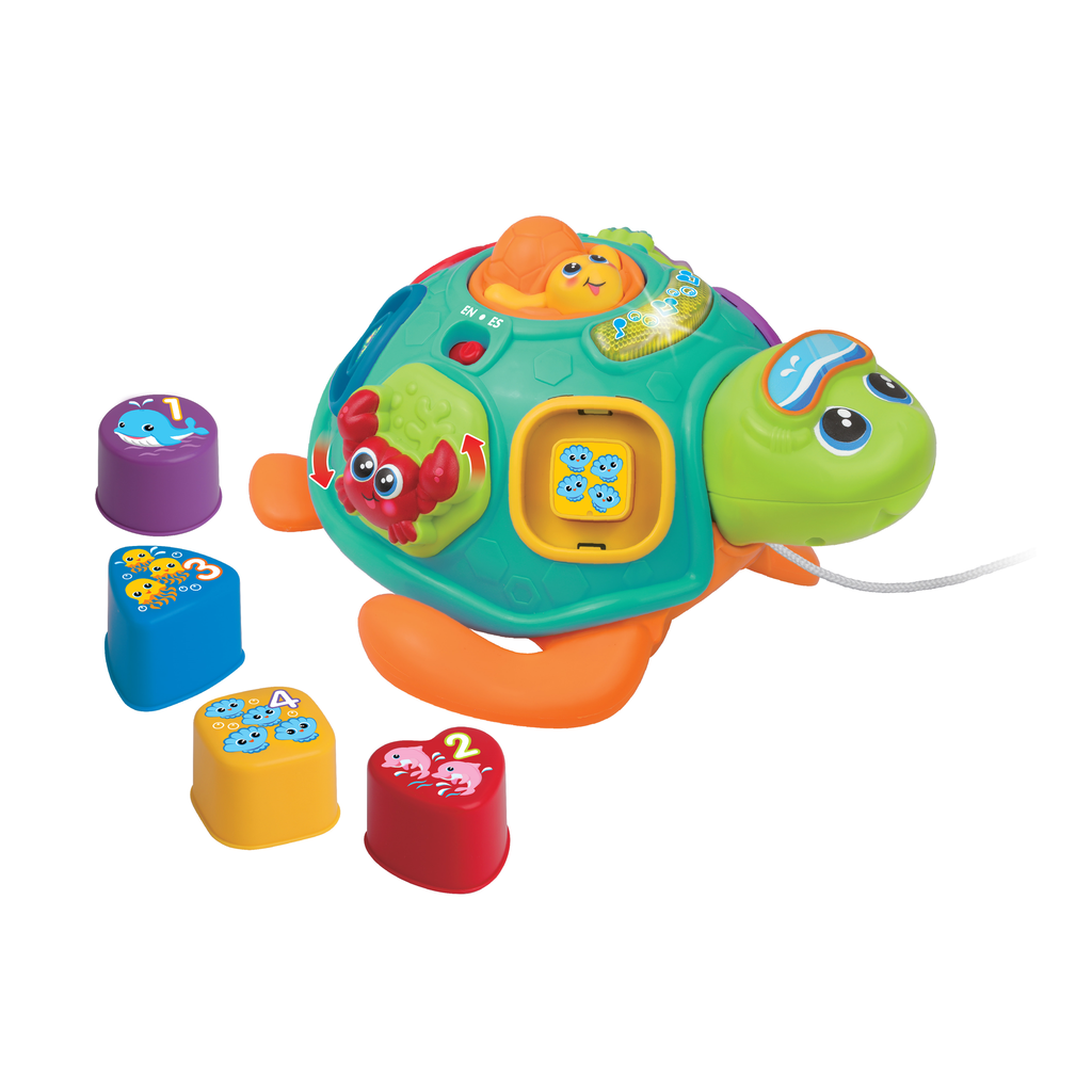 WINFUN Ziehen Sie die Schildkröte zum Sortieren und Lernen mit