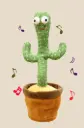 Dancing cactus