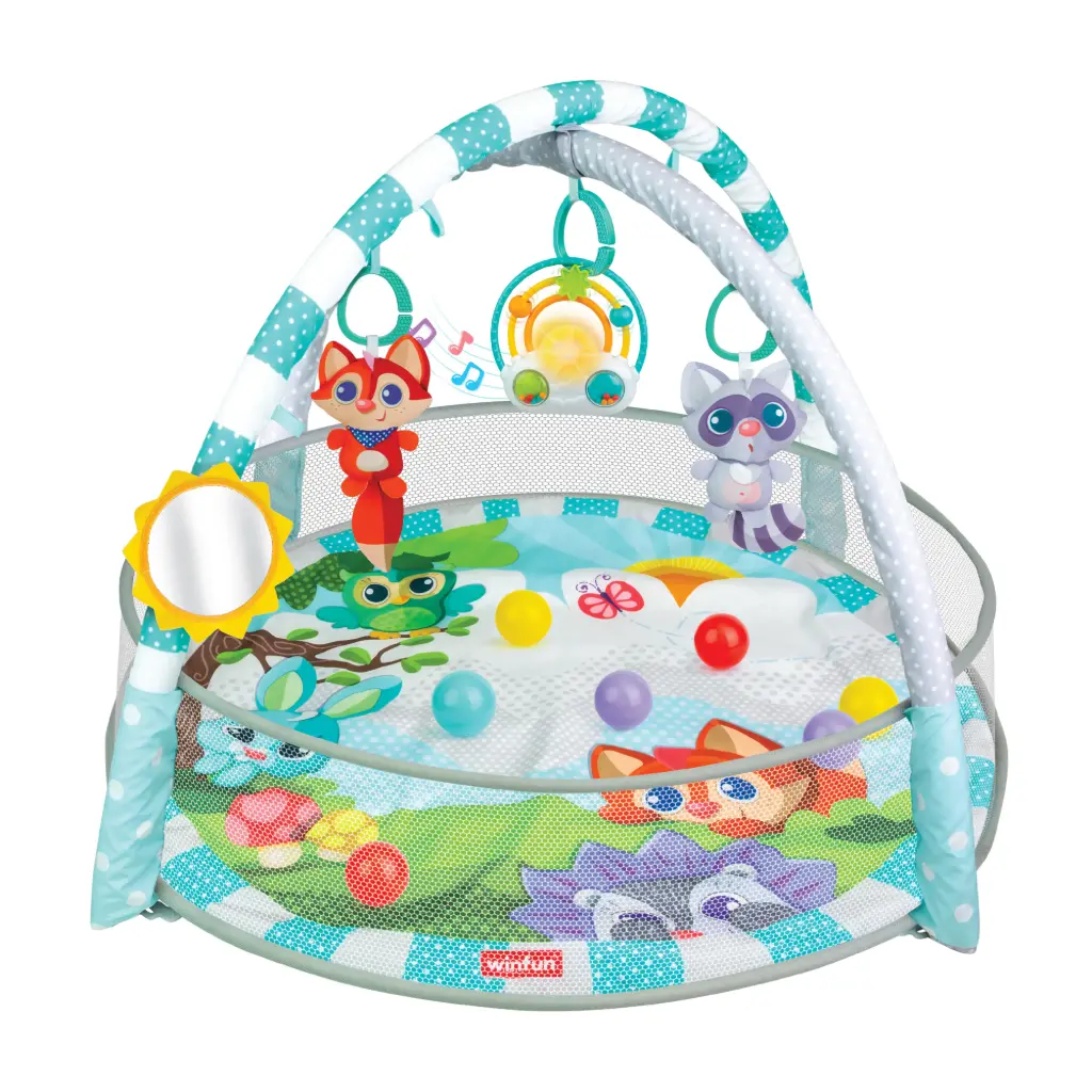 WINFUN Playspace Play Gym and Ball Pit