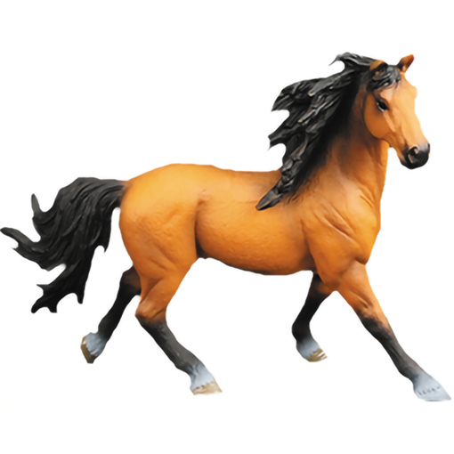 WILD ANIMALS HORSES DISPLAY