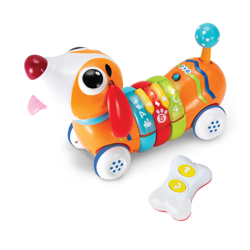 [001142-NL] WINFUN R/C Chiot arc-en-ciel télécommandé